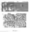 Fig. 20 - Compositions and methods for modulating toll-like receptor 2 activation