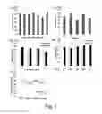 Fig. 11 - Modulation of proprotein convertase subtilisin/kexin 9 expression (PCSK9) with HSP 27 and/or HSP25