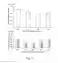 Fig. 14 - Modulation of proprotein convertase subtilisin/kexin 9 expression (PCSK9) with HSP 27 and/or HSP25