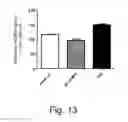 Fig. 17 - Modulation of proprotein convertase subtilisin/kexin 9 expression (PCSK9) with HSP 27 and/or HSP25