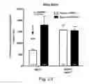 Fig. 27 - Modulation of proprotein convertase subtilisin/kexin 9 expression (PCSK9) with HSP 27 and/or HSP25