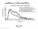 Fig. 30 - Modulation of proprotein convertase subtilisin/kexin 9 expression (PCSK9) with HSP 27 and/or HSP25