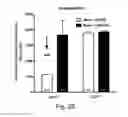 Fig. 32 - Modulation of proprotein convertase subtilisin/kexin 9 expression (PCSK9) with HSP 27 and/or HSP25