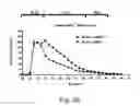 Fig. 33 - Modulation of proprotein convertase subtilisin/kexin 9 expression (PCSK9) with HSP 27 and/or HSP25