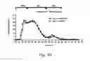 Fig. 34 - Modulation of proprotein convertase subtilisin/kexin 9 expression (PCSK9) with HSP 27 and/or HSP25