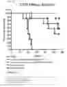 Fig. 40 - ENGINEERED LISTERIA  AND METHODS OF USE THEREOF