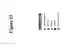 Fig. 13 - METHODS AND COMPOSITIONS FOR PREVENTING A CONDITION