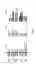 Fig. 07 - Immunogenic compositions against 