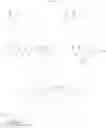 Fig. 33 - Immunogenic compositions against 