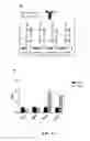 Fig. 05 - Methods and compositions for dengue virus vaccines and diagnostics