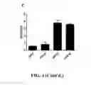 Fig. 06 - Methods and compositions for dengue virus vaccines and diagnostics