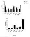 Fig. 08 - Methods and compositions for dengue virus vaccines and diagnostics