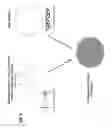 Fig. 02 - Expression vector delivery system and use thereof for inducing an immune response
