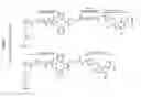 Fig. 06 - Expression vector delivery system and use thereof for inducing an immune response