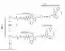 Fig. 08 - Expression vector delivery system and use thereof for inducing an immune response