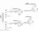 Fig. 09 - Expression vector delivery system and use thereof for inducing an immune response