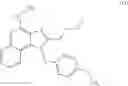 Fig. 65 - Expression vector delivery system and use thereof for inducing an immune response