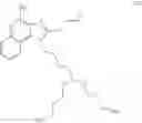 Fig. 79 - Expression vector delivery system and use thereof for inducing an immune response