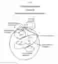 Fig. 03 - GLYCAN-INTERACTING COMPOUNDS AND METHODS OF USE
