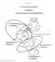 Fig. 05 - GLYCAN-INTERACTING COMPOUNDS AND METHODS OF USE