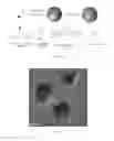 Fig. 02 - Nanocomposite, a Preparation Method Thereof and Method for Treating Cancer Using the Same