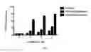 Fig. 06 - Folate-conjugated molecules for delivery of toxic small molecule inhibitors to cancer cells and methods of use