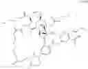 Fig. 18 - Folate-conjugated molecules for delivery of toxic small molecule inhibitors to cancer cells and methods of use