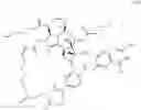 Fig. 19 - Folate-conjugated molecules for delivery of toxic small molecule inhibitors to cancer cells and methods of use
