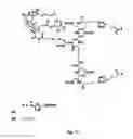 Fig. 08 - Small Molecule Drug Conjugates