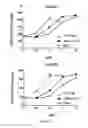 Fig. 09 - Polymer conjugate vaccines