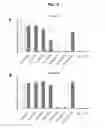Fig. 08 - FGFR3 binding molecules