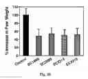 Fig. 06 - ANTIFOLATE CONJUGATES FOR TREATING INFLAMMATION