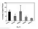 Fig. 07 - ANTIFOLATE CONJUGATES FOR TREATING INFLAMMATION