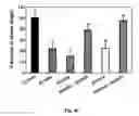 Fig. 11 - ANTIFOLATE CONJUGATES FOR TREATING INFLAMMATION