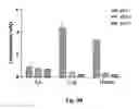 Fig. 23 - ANTIFOLATE CONJUGATES FOR TREATING INFLAMMATION