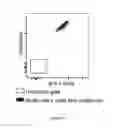 Fig. 03 - Biofunctionalized nanoparticles and uses thereof in adoptive cell therapy