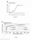 Fig. 05 - Biofunctionalized nanoparticles and uses thereof in adoptive cell therapy