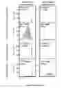 Fig. 19 - Biofunctionalized nanoparticles and uses thereof in adoptive cell therapy