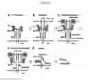 Fig. 03 - Expression of HIV inhibitors by mesenchymal stem cells