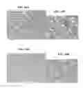 Fig. 45 - Systems and methods for nucleic acid expression in vivo
