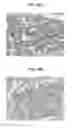 Fig. 46 - Systems and methods for nucleic acid expression in vivo