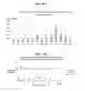 Fig. 92 - Systems and methods for nucleic acid expression in vivo