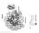 Fig. 07 - Methods and compositions for modulating gene expression