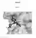 Fig. 15 - Methods and compositions for modulating gene expression