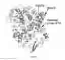 Fig. 28 - Compounds and method for imaging cancer