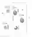 Fig. 35 - Compounds and method for imaging cancer