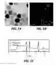 Fig. 02 - IRON OXIDE NANOPARTICLES AND THEIR SYNTHESIS BY CONTROLLED OXIDATION