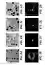 Fig. 03 - IRON OXIDE NANOPARTICLES AND THEIR SYNTHESIS BY CONTROLLED OXIDATION