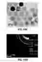 Fig. 15 - IRON OXIDE NANOPARTICLES AND THEIR SYNTHESIS BY CONTROLLED OXIDATION