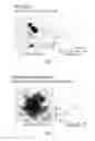 Fig. 08 - Stimuli-responsive magneto-plasmonic nanocarrier